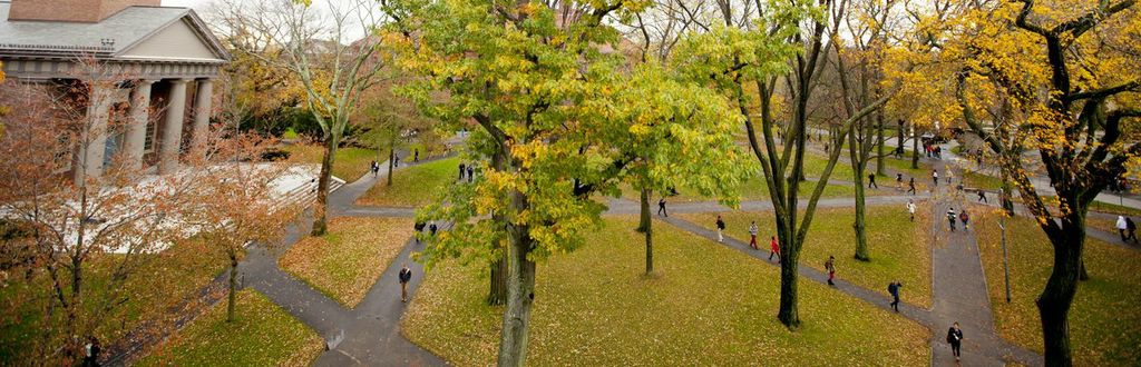 Harvard Yard