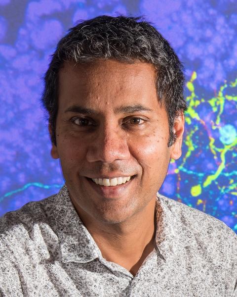 murthy.jpg