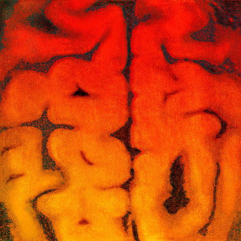 Abstract close-up of interlocking organic shapes in fiery red, orange, and yellow, creating a warm, textured, dreamlike and intense visual mood.