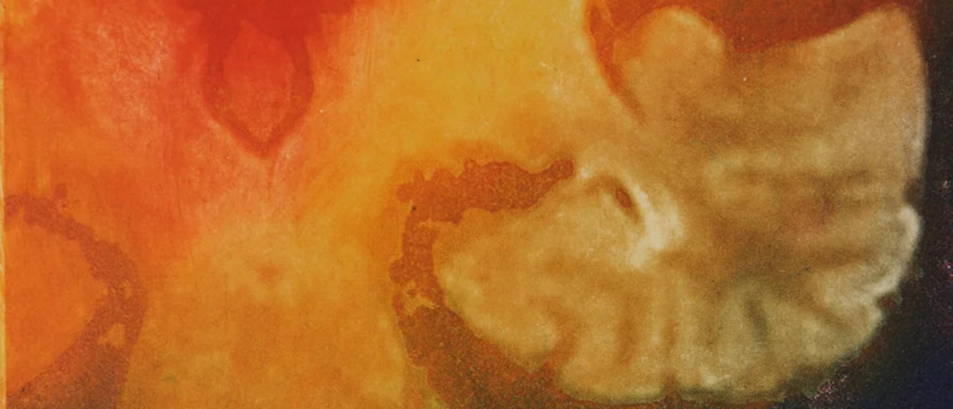 Abstract orange, yellow, and cream organic forms fill a bordered image, with dark blue shading below, creating a warm, dreamlike atmosphere.