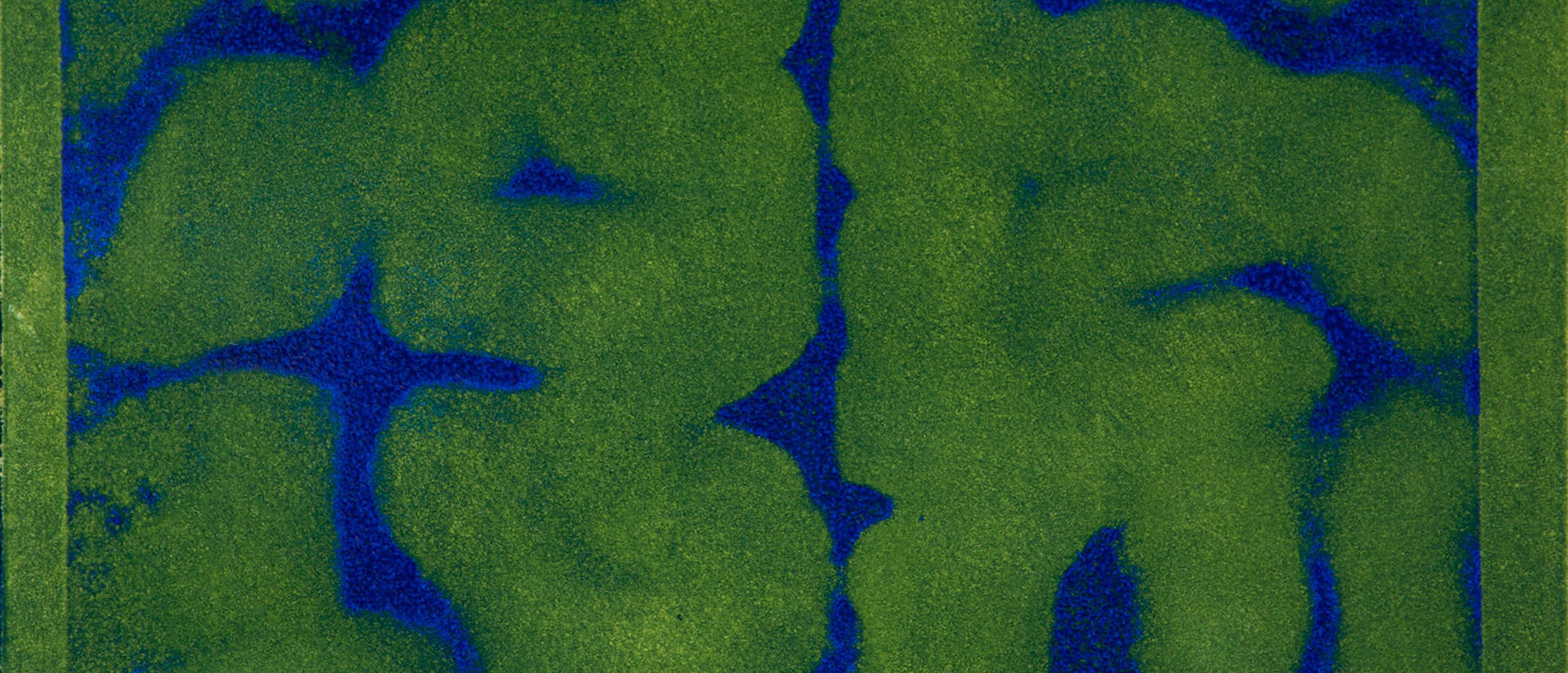 Abstract green and deep-blue organic shapes form a mirrored, maze-like pattern, creating a mysterious, textured composition with a calm yet eerie tone.