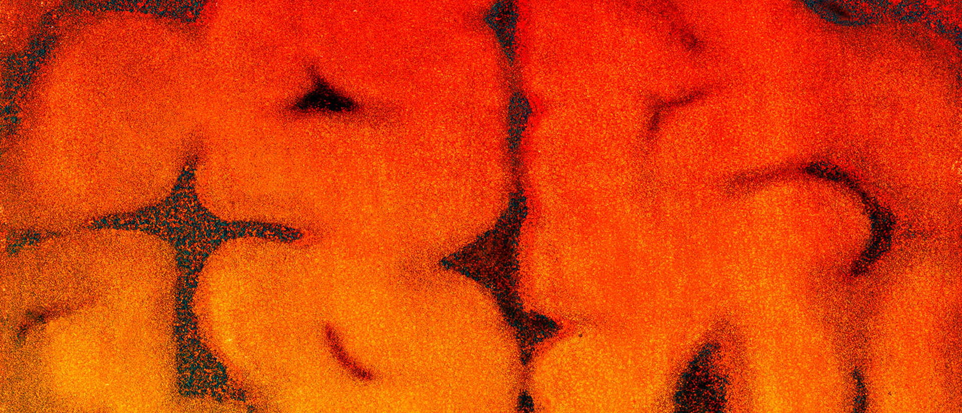 Abstract close-up of interlocking organic shapes in fiery red, orange, and yellow, creating a warm, textured, dreamlike and intense visual mood.